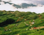 Lạng Sơn: Làm giàu từ trồng cây ăn quả